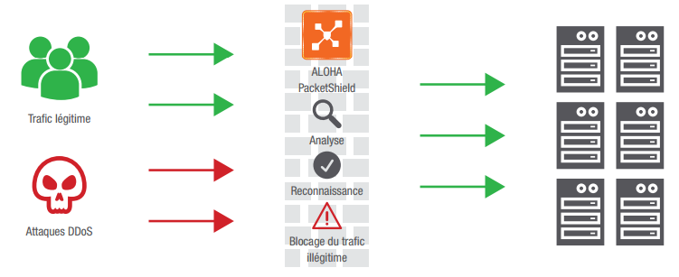 Haproxy