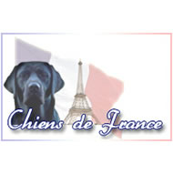 logochiensdefrance.jpg