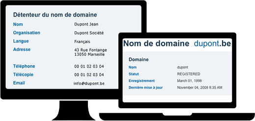 domain owner